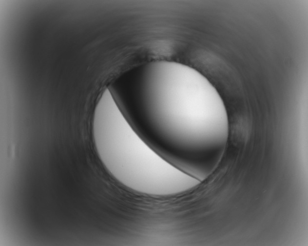 X0000089390608200706150933
