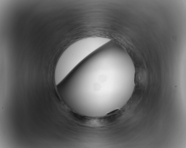 X0000089390611200706150932