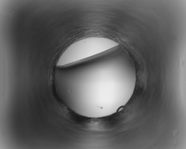 X0000089390612200706150932