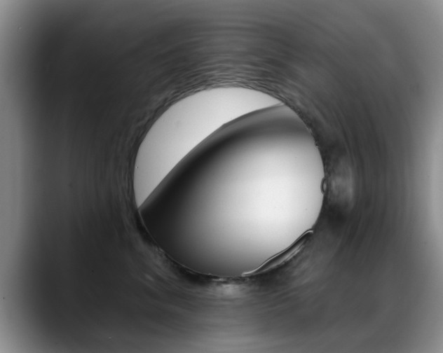 X0000089390620200706150932