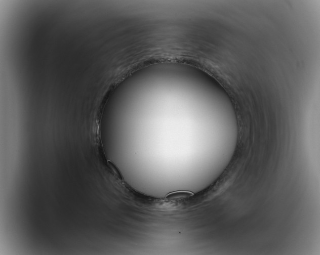 X0000089390624200706150932