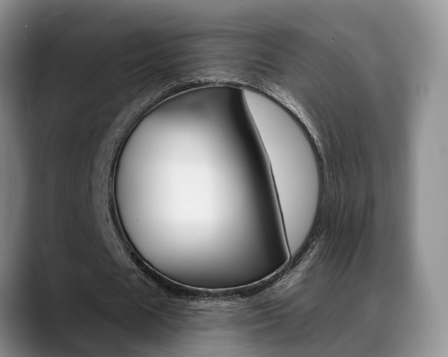 X0000089390625200706150932