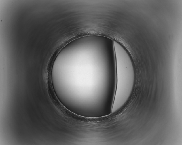 X0000089390626200706150932