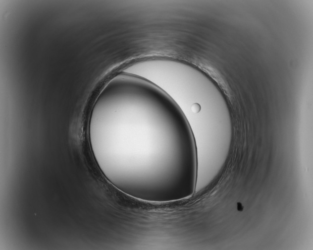 X0000089390628200706150932