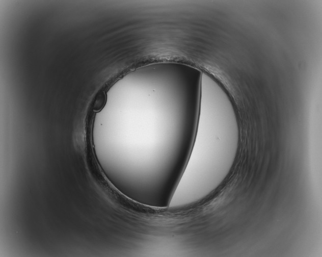 X0000089390630200706150932