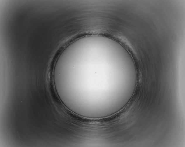 X0000089390636200706150932