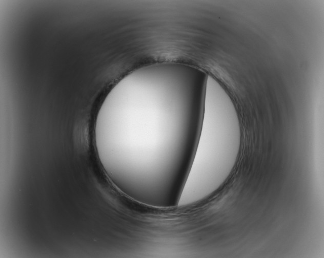 X0000089390638200706150932