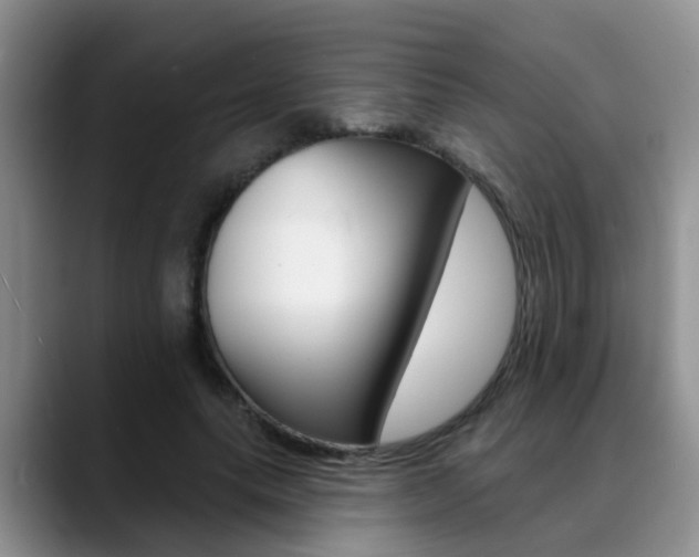 X0000089390639200706150932