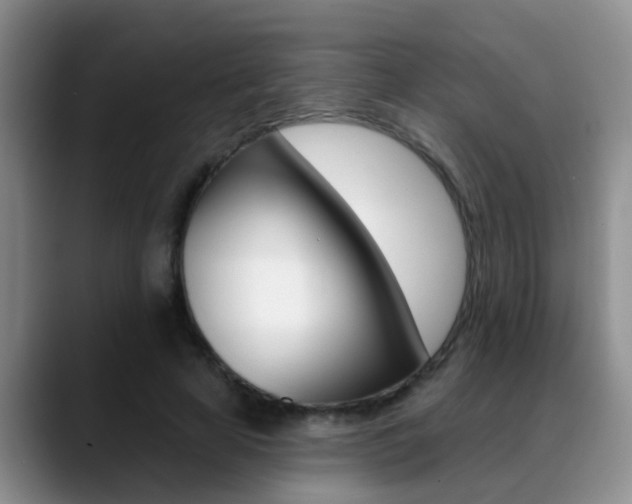 X0000089390641200706150932
