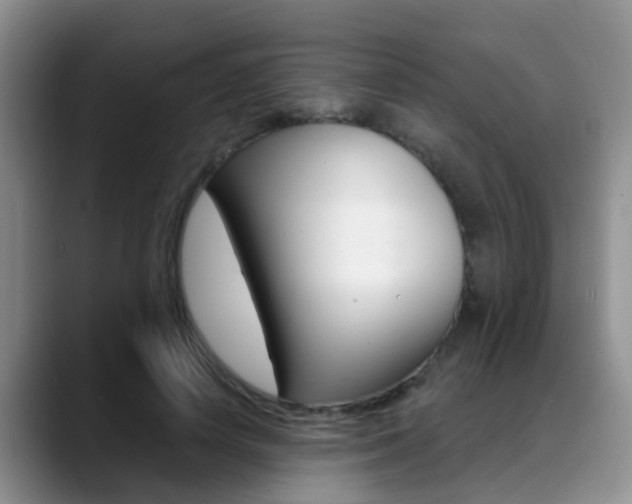 X0000089390642200706150932