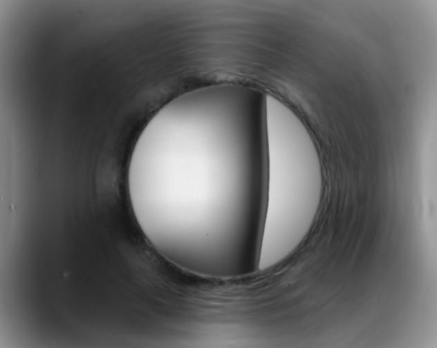 X0000089390643200706150932
