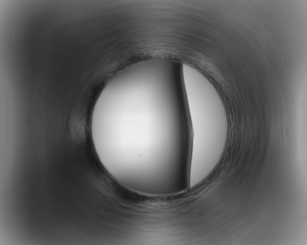 X0000089390644200706150932