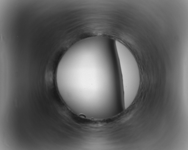 X0000089390646200706150932