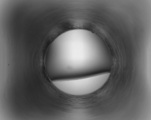 X0000089390648200706150932