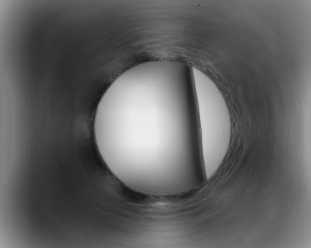 X0000089390658200706150932