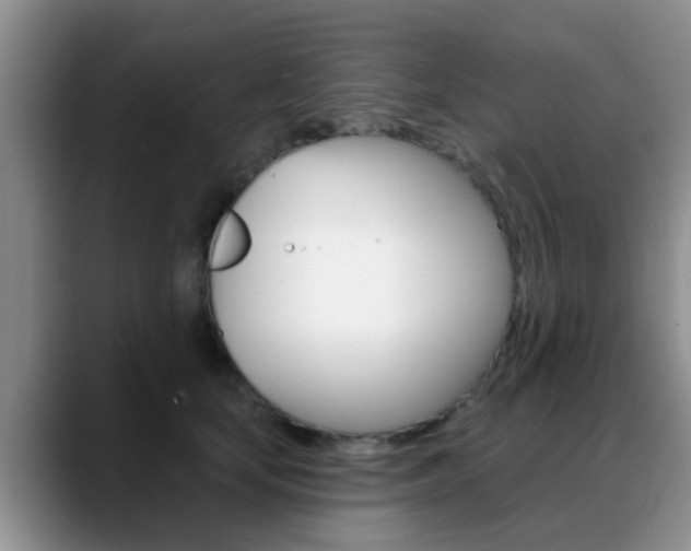 X0000089390659200706150932