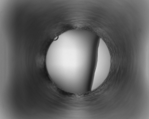 X0000089390660200706150932