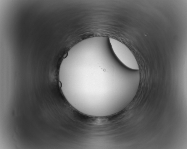 X0000089390663200706150932