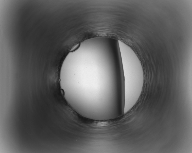 X0000089390665200706150932
