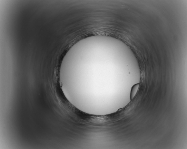X0000089390671200706150932