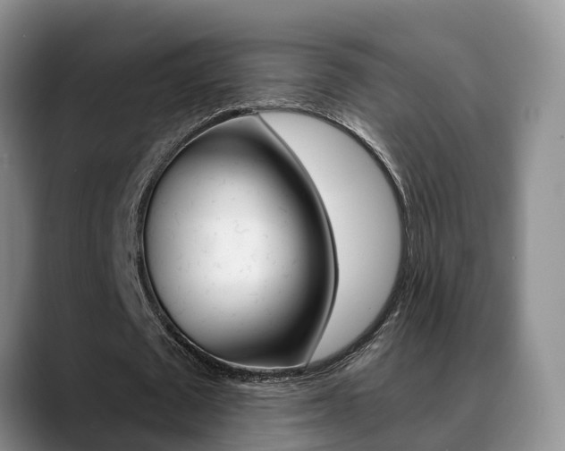 X0000089390673200706150932