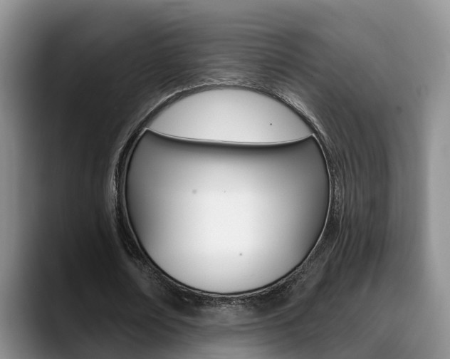 X0000089390674200706150932