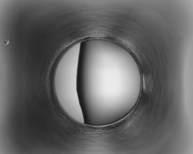 X0000089390675200706150932