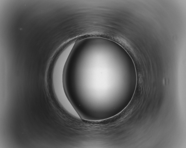 X0000089390676200706150932