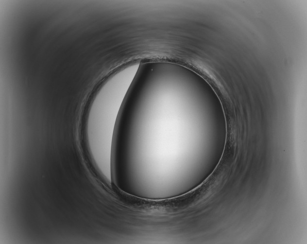 X0000089390677200706150932
