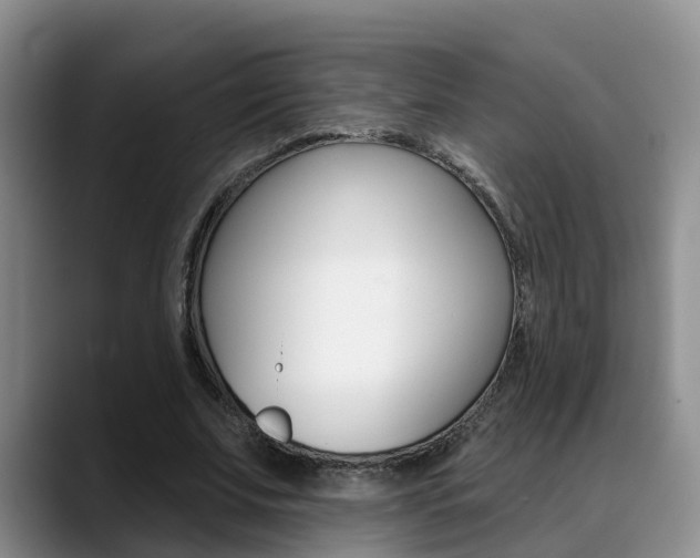 X0000089390679200706150932