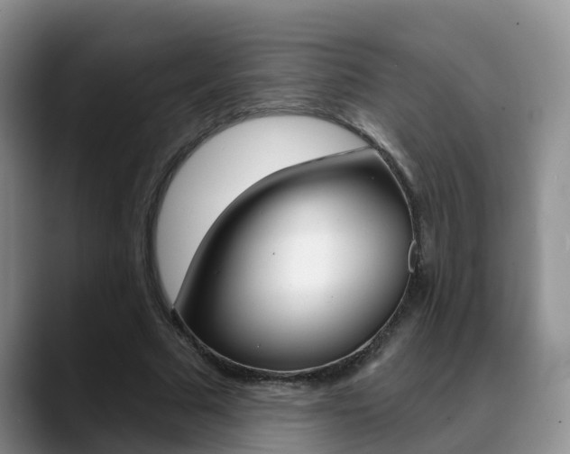 X0000089390681200706150932