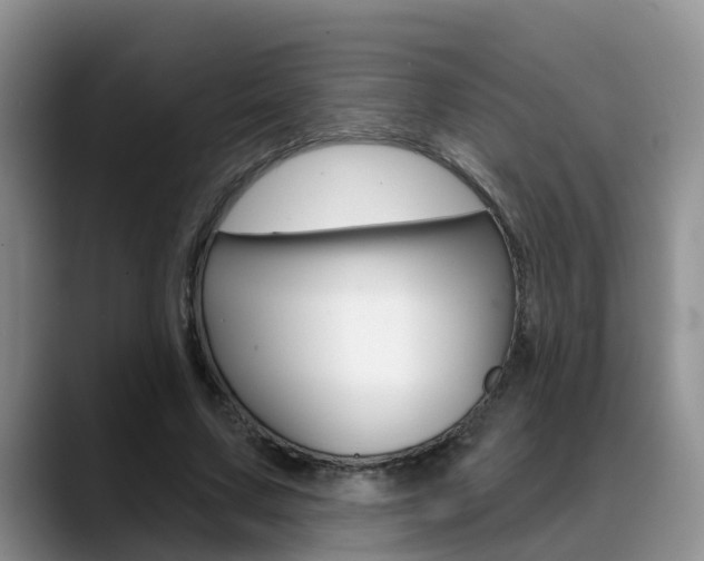 X0000089390683200706150932