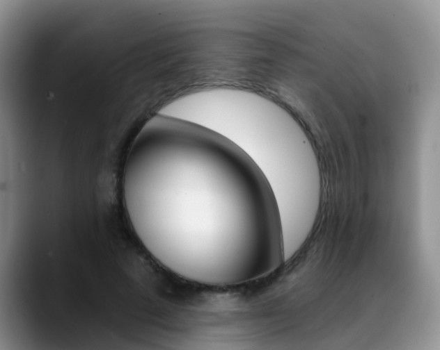 X0000089390689200706150931