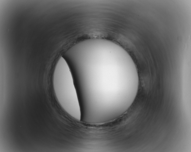 X0000089390690200706150931
