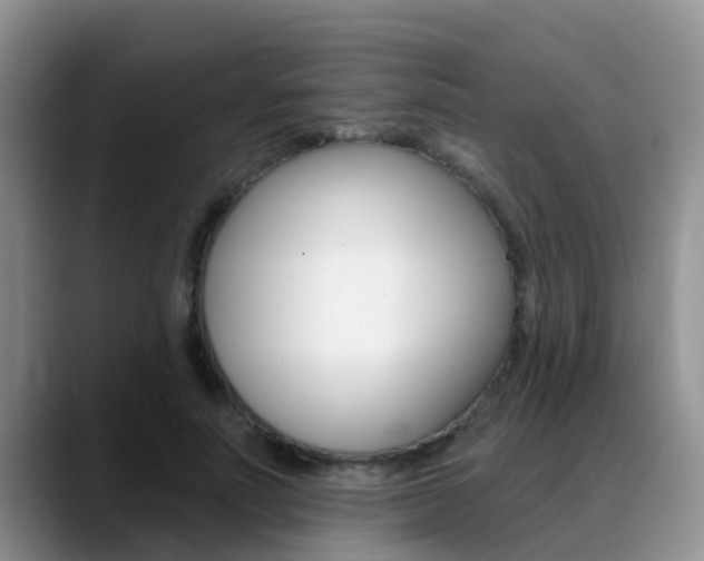X0000089390691200706150931
