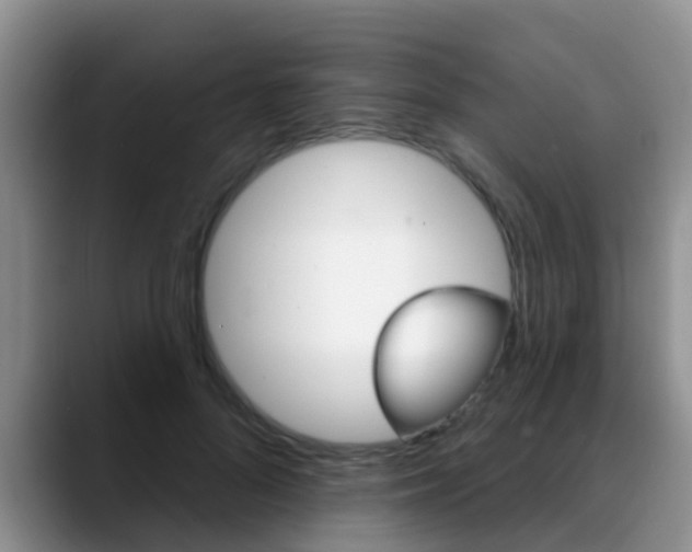 X0000089390696200706150931