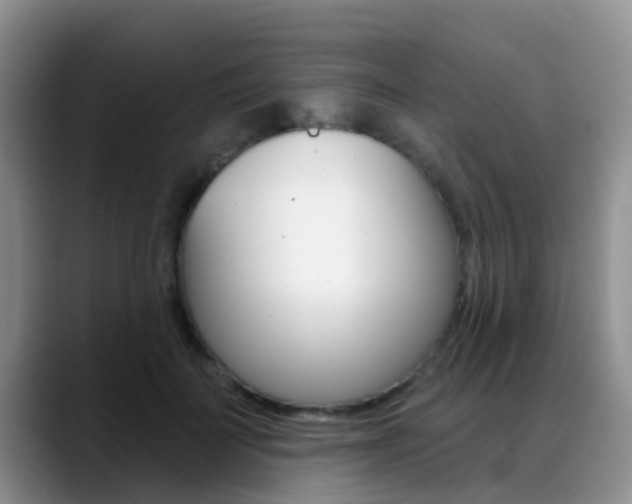 X0000089390699200706150931