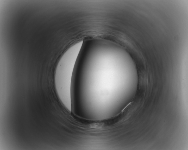 X0000089390700200706150931