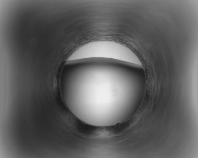 X0000089390704200706150931