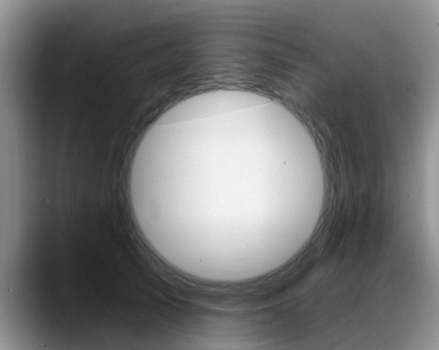 X0000089390705200706150931