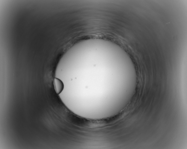 X0000089390707200706150931