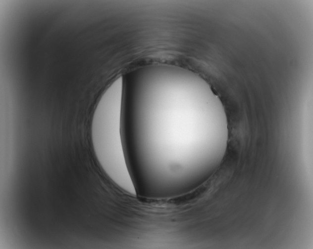 X0000089390708200706150931