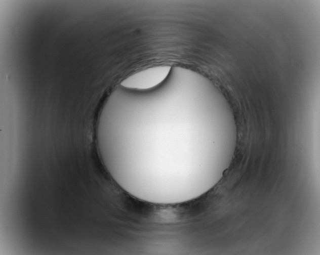 X0000089390710200706150931