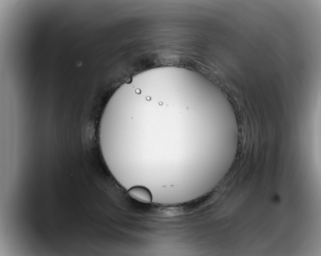 X0000089390711200706150931