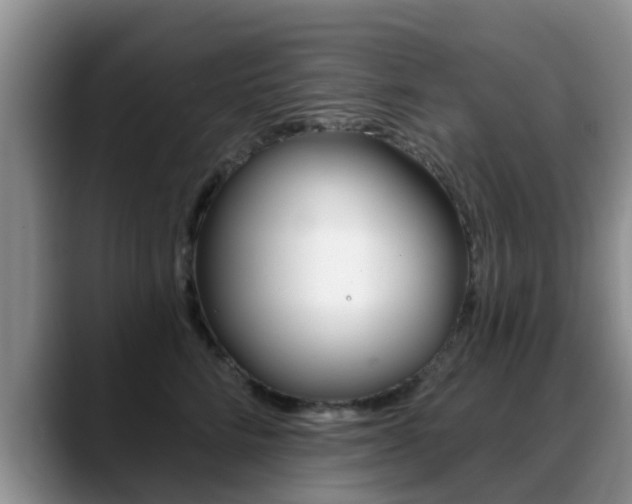 X0000089390712200706150931