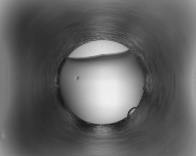 X0000089390714200706150931