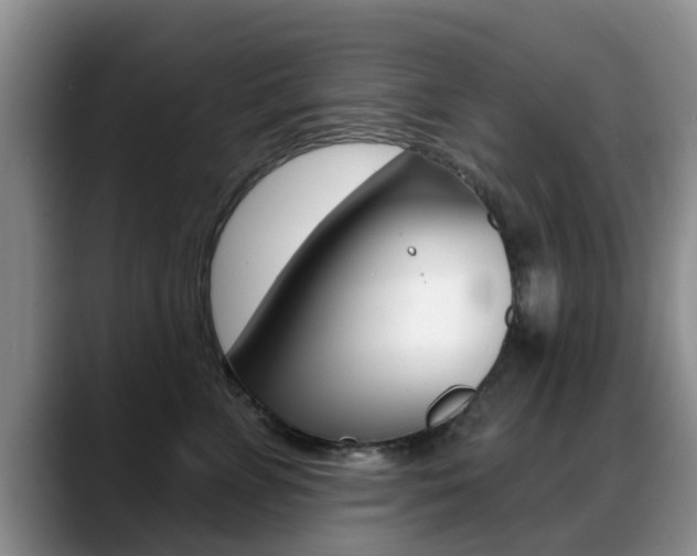 X0000089390715200706150931