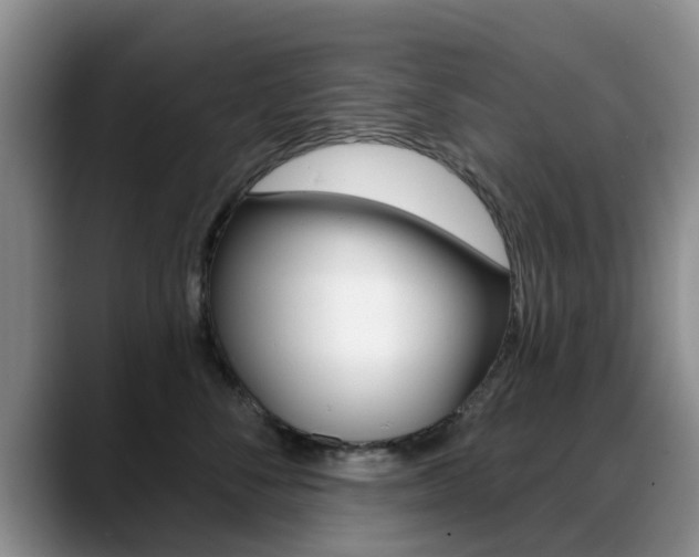 X0000089390716200706150931