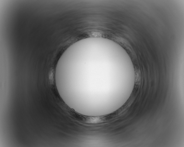 X0000089390717200706150931