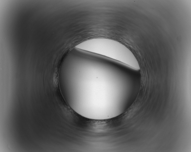 X0000089390719200706150931